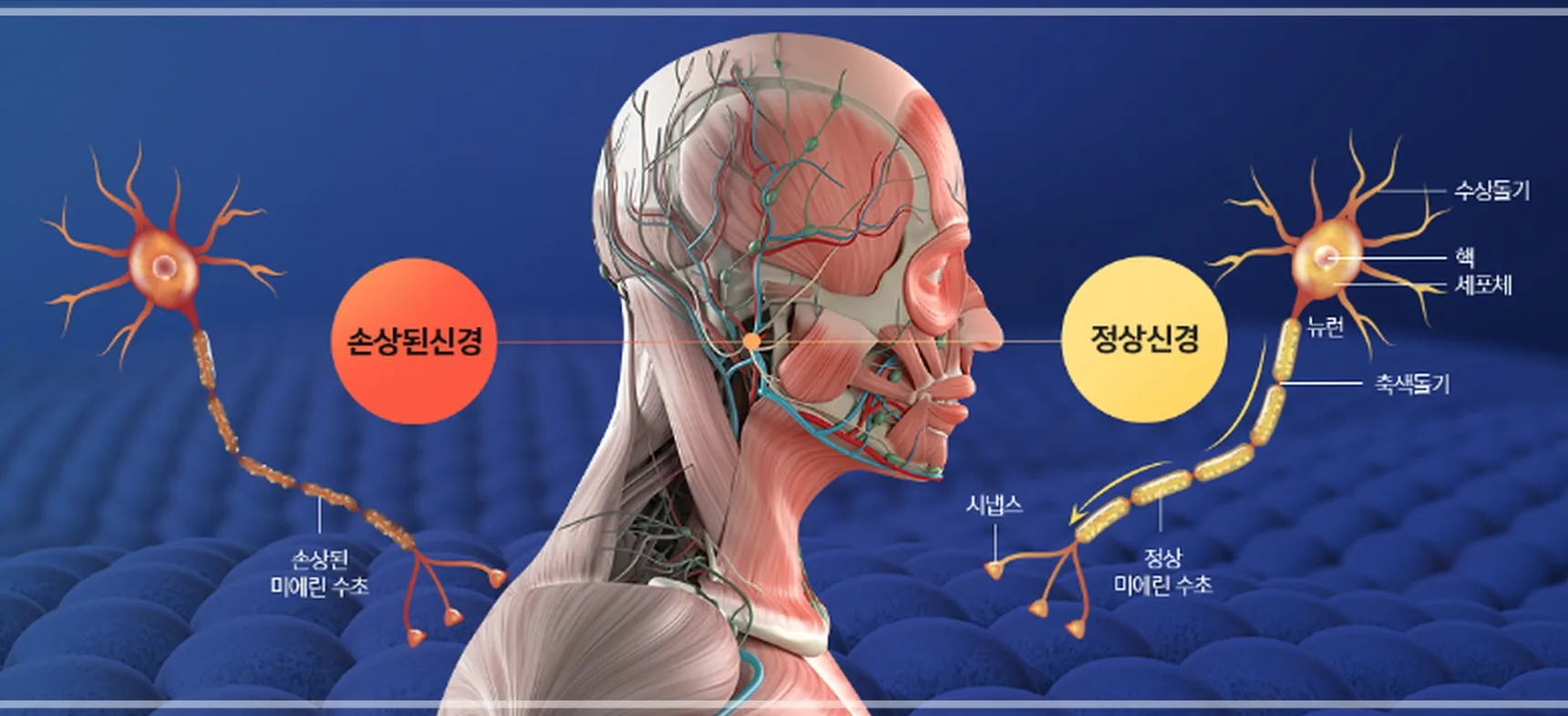 이비안한의원 안면마비 다각도 검사 시스템