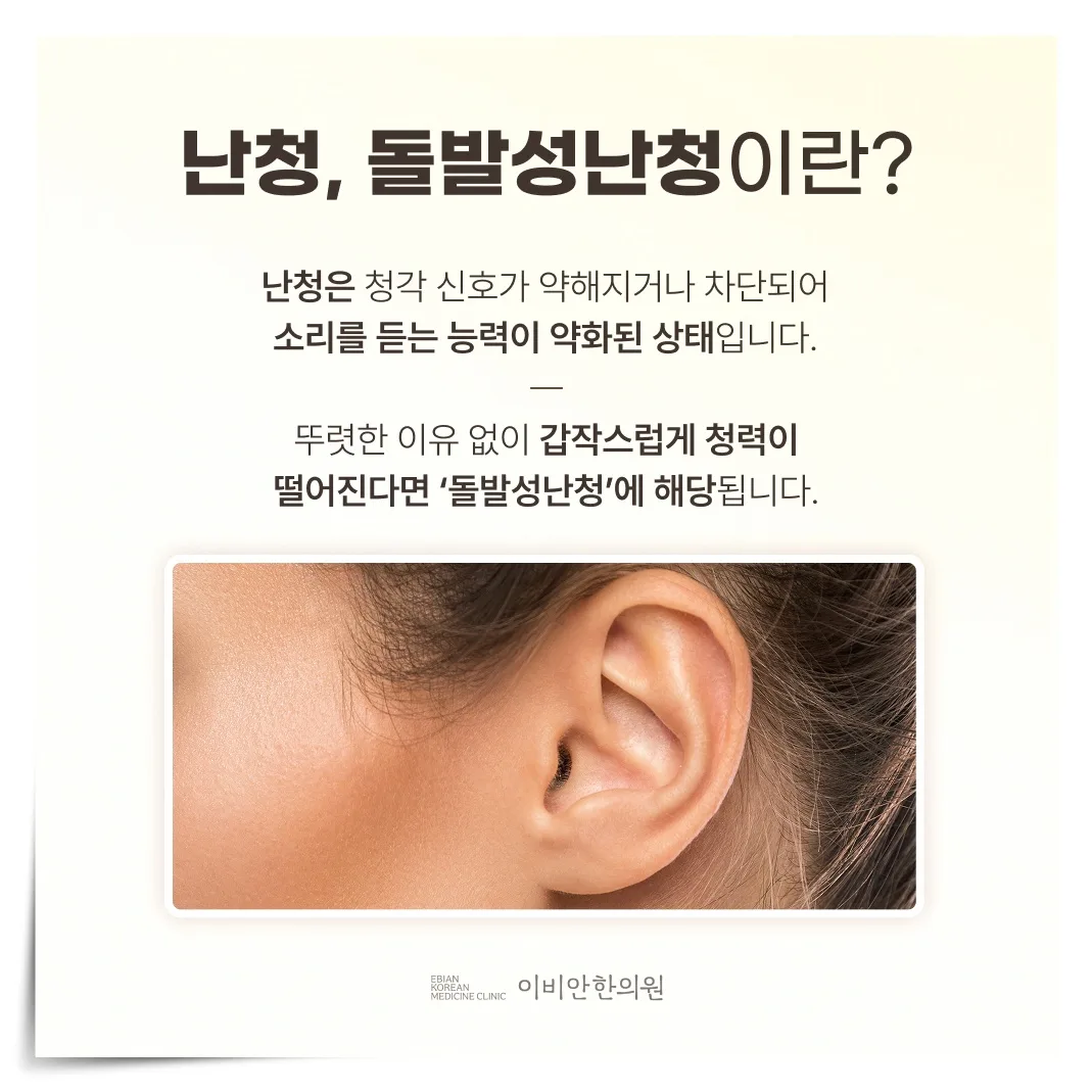 돌발성 난청 설명 이미지
